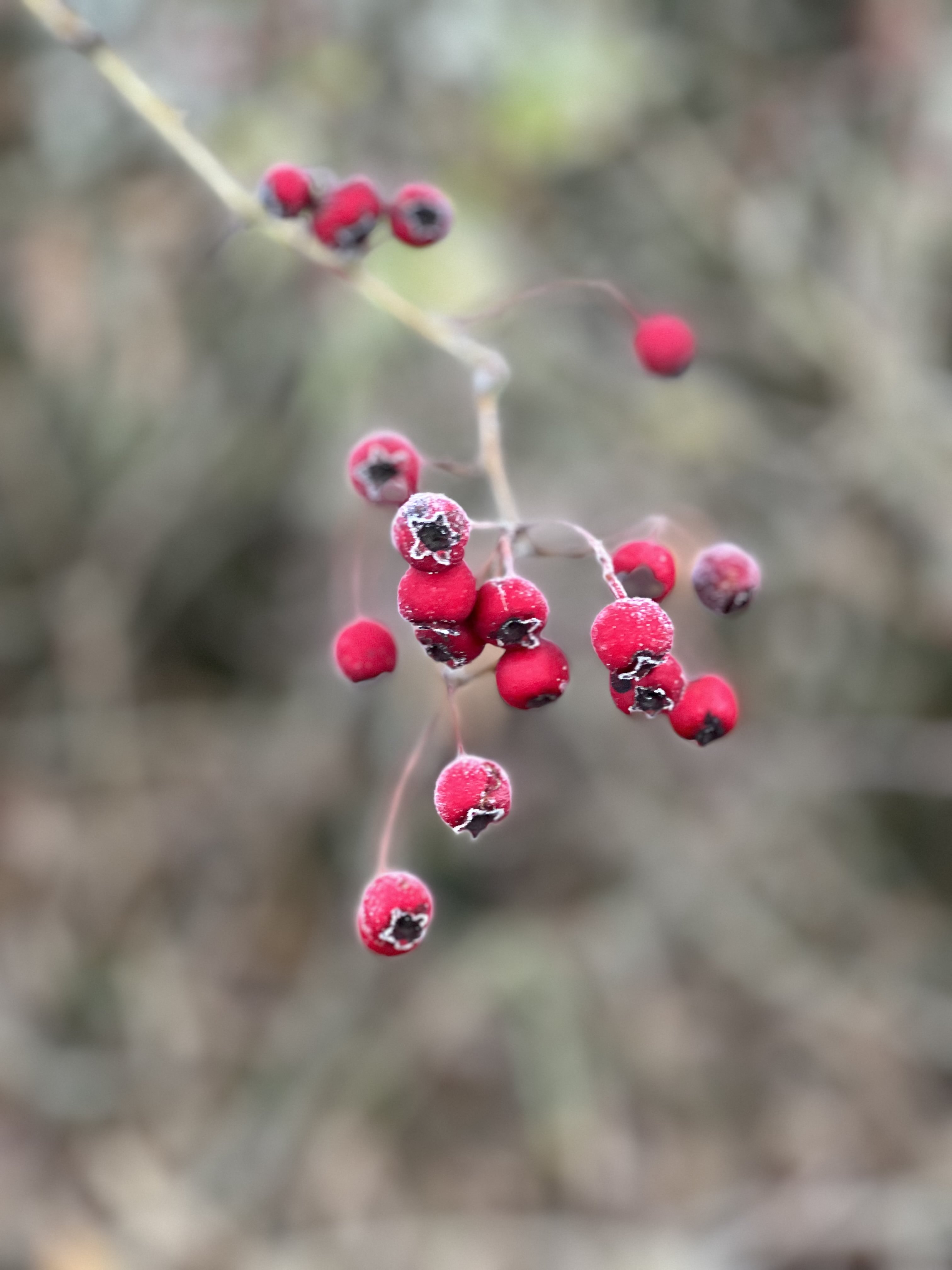 We Are Not Just Your Estate Agents – We Are Your Neighbours Too